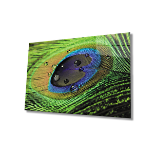 Tavuskuşu Tüy Cam Tablo Peacock 36x23 cm