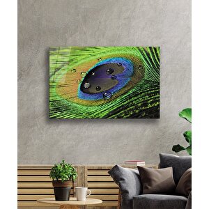 Tavuskuşu Tüy Cam Tablo Peacock 110x70 cm