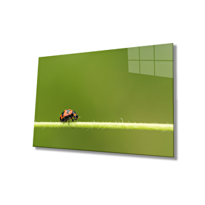 Yeşil Yaprak Uğur Böceği Cam Tablo 50x70 cm