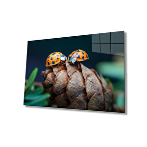 Uğur Böceği Ve Yaprak Cam Tablo Ev Ve Ofis Duvar Dekoru 36x23 cm