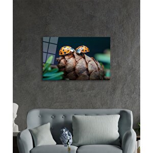 Uğur Böceği Ve Yaprak Cam Tablo Ev Ve Ofis Duvar Dekoru 36x23 cm