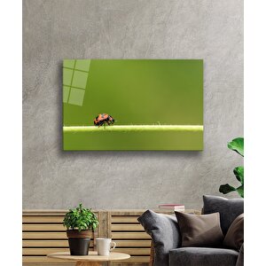 Yeşil Yaprak Uğur Böceği Cam Tablo 110x70 cm