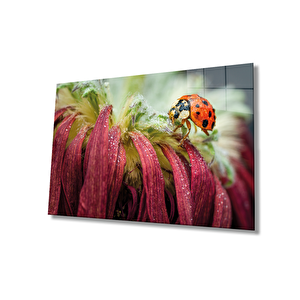Uğur Böceği Ve Yaprak Cam Tablo Ev Ve Ofis Duvar Dekoru 36x23 cm