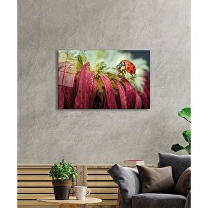 Uğur Böceği Ve Yaprak Cam Tablo Ev Ve Ofis Duvar Dekoru 36x23 cm
