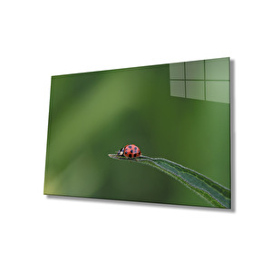 Uğur Böceği Yeşil Cam Tablo Ladybug Green 36x23 cm