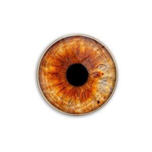 Göz Bebeği Yuvarlak Cam Tablo 60x60 cm