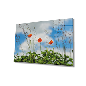 Gelincik Çiçeği Cam Tablopoppy Flower 50x70 cm
