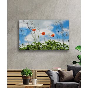 Gelincik Çiçeği Cam Tablopoppy Flower 50x70 cm