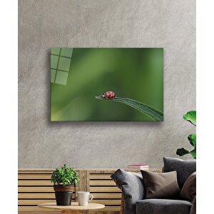 Uğur Böceği Yeşil Cam Tablo Ladybug Green 50x70 cm