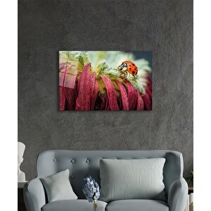 Uğur Böceği Ve Yaprak Cam Tablo Ev Ve Ofis Duvar Dekoru 50x70 cm