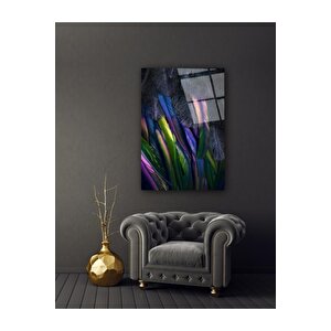 Tüylerin Ihtişamı Cam Tablo 50x70 cm