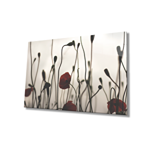 Gelincik Çiçeği Cam Tablopoppy Flower 36x23 cm