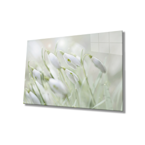 Kardelen Çiçeği Cam Tablo Snowdrop Flower 50x70 cm