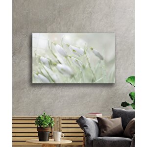 Kardelen Çiçeği Cam Tablo Snowdrop Flower 50x70 cm