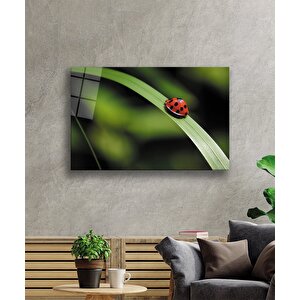 Uğur Böceği Yeşil Yaprak Cam Tablo 50x70 cm