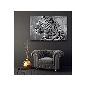 Leopar Cam Tablo 50x70 cm