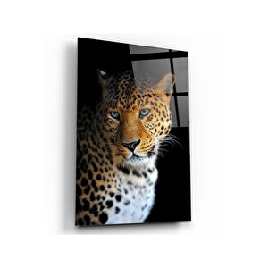 Leopar Cam Tablo 50x70 cm