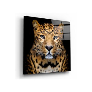 Leopar Cam Tablo 30x30 cm