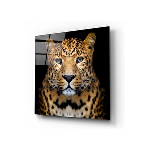 Leopar Cam Tablo 50x50 cm
