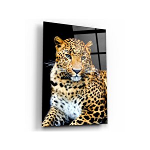 Leopar Cam Tablo 60x90 cm