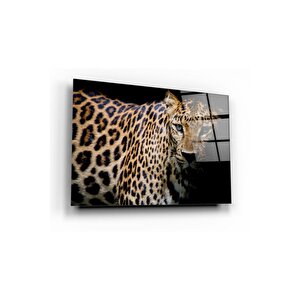 Leopar Cam Tablo 50x70 cm