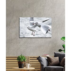 Ördek Cam Tablo 50x70 cm