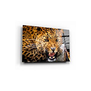 Leopar Cam Tablo 50x70 cm