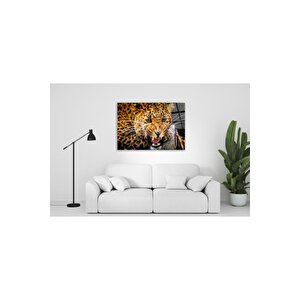Leopar Cam Tablo 50x70 cm