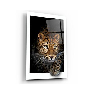 Leopar Cam Tablo 50x70 cm