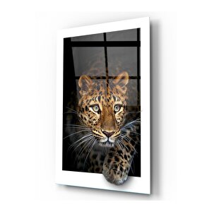Leopar Cam Tablo 50x70 cm