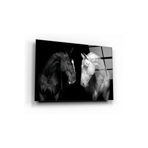 Atlar Cam Tablo 50x70 cm