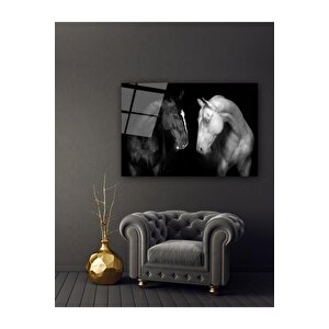 Atlar Cam Tablo 50x70 cm