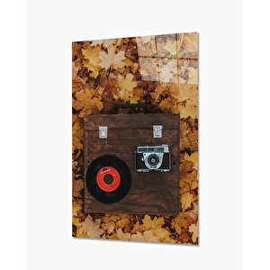 Eşya Cam Tablo 36x23 cm
