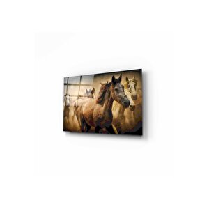 Atlar Cam Tablo 50x70 cm