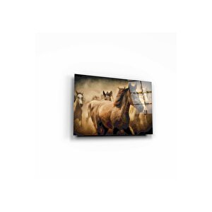 Atlar Cam Tablo 50x70 cm