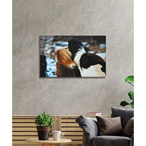 Atlar Cam Tabo 50x70 cm