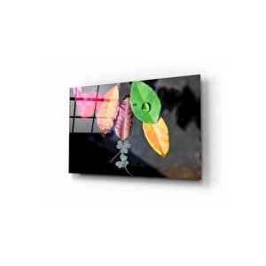 Cam Tablo 50x70 cm