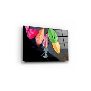 Cam Tablo 50x70 cm