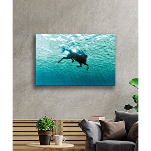 Yüzen Atsualtı Cam Tablo 50x70 cm