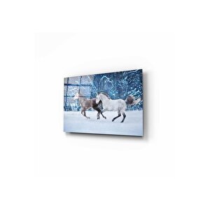 Atlar Cam Tablo 50x70 cm