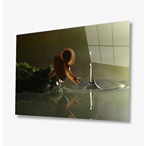 Cam Tablo 50x70 cm