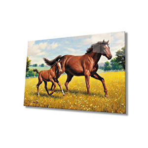 Atlar Cam Tablo 50x70 cm