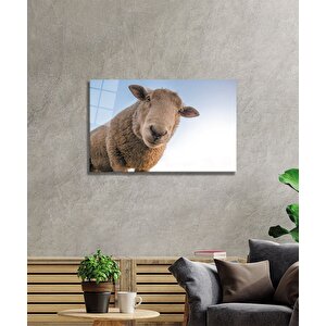 Koyun Cam Tablo 50x70 cm