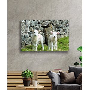 Koyun Cam Tablo 50x70 cm