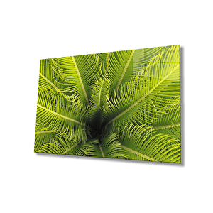 Yeşil Bitkiler Yeşil Bitkiler 50x70 cm