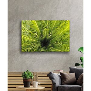 Yeşil Bitkiler Yeşil Bitkiler 50x70 cm