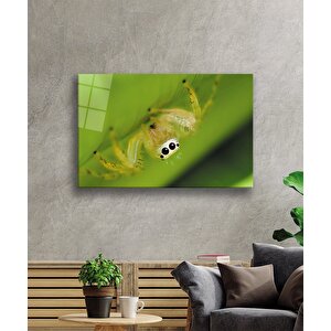 Yeşil Sarı Örümcek Cam Tablo 90x60 cm