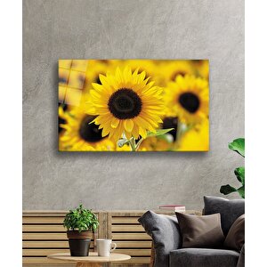 Ayçiçeği Cam Tablo 36x23 cm
