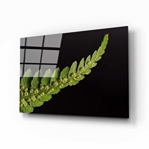 Yaprak Cam Tablo 50x70 cm