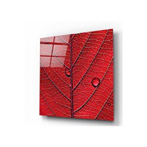 Yaprak Cam Tablo 30x30 cm